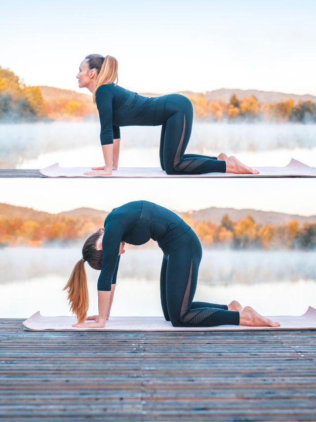 10 Best Yoga Poses For Back Pain Relief 3 CAT-COW-pose