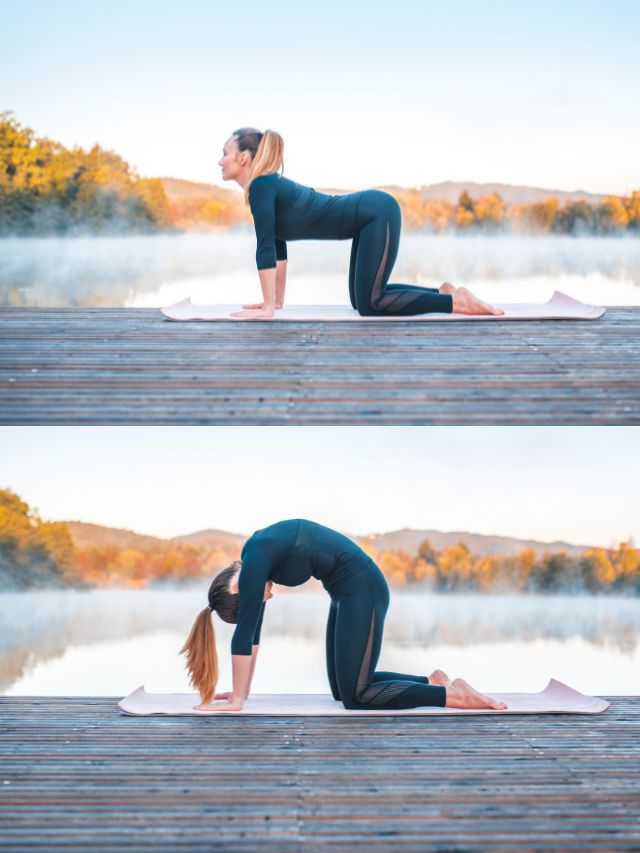11 Yoga Asanas For Healthy Life 13 Cat-Cow-Pose