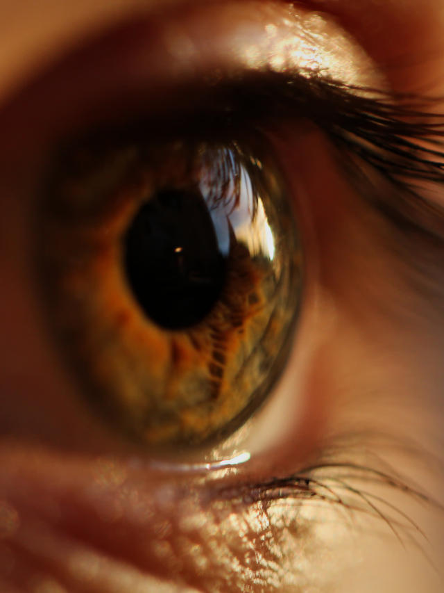 Read more about the article TOP 10 YOGA FOR IMPROVING YOUR EYE SIGHT