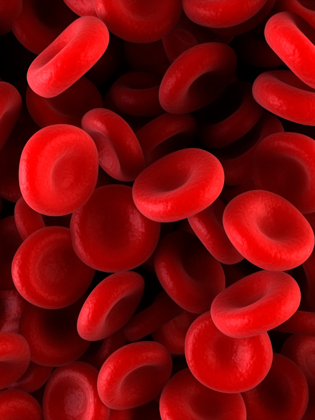 Read more about the article INCREASE HEMOGLOBIN LEVEL WITH YOGA