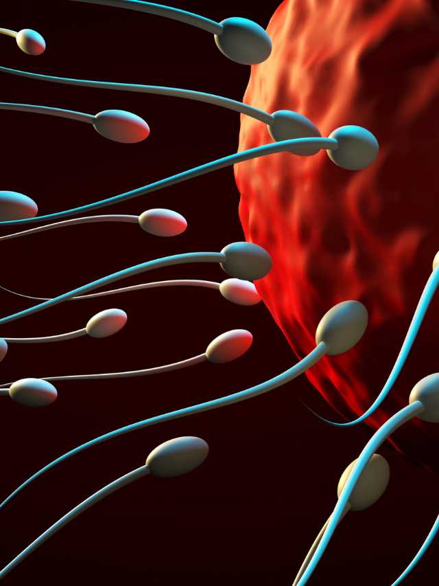 Read more about the article Top 10 Yoga Poses for Men Infertility