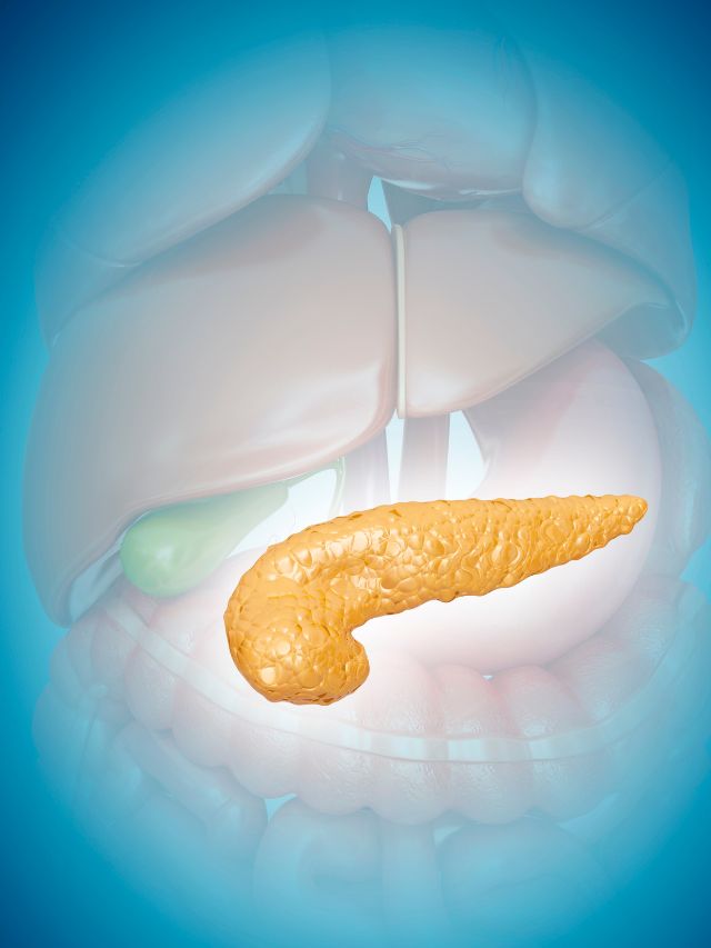 Read more about the article YOGA POSES FOR HEALTHY PANCREAS