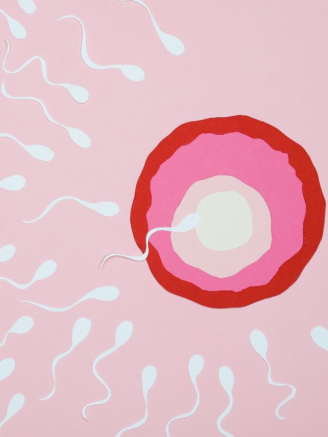 Read more about the article YOGA POSES TO INCREASE FERTILITY IN WOMEN