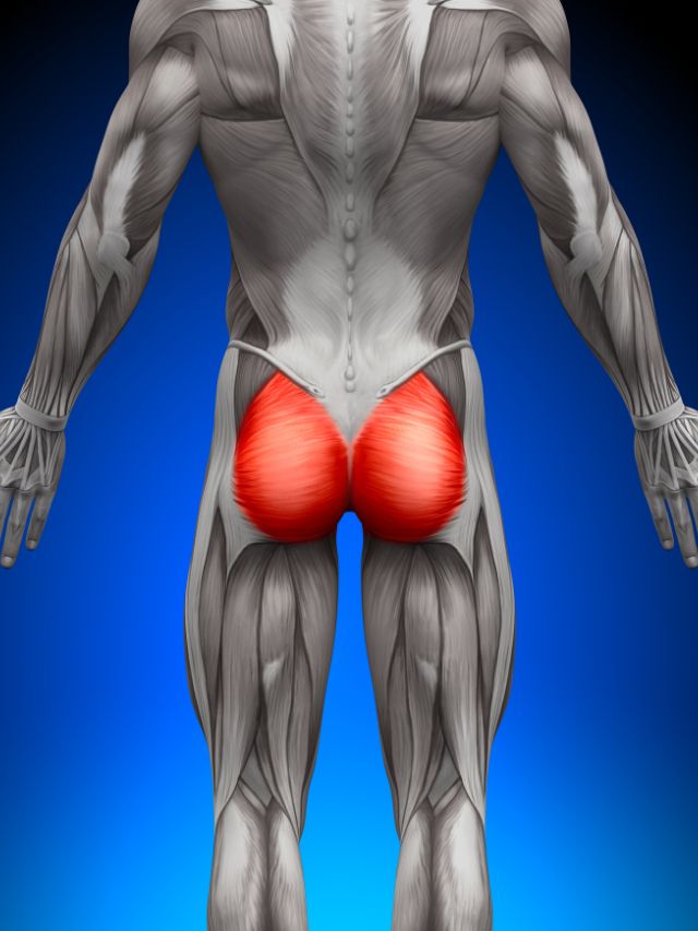 Read more about the article BEST YOGA STRETCHES FOR TIGHT GLUTEUS