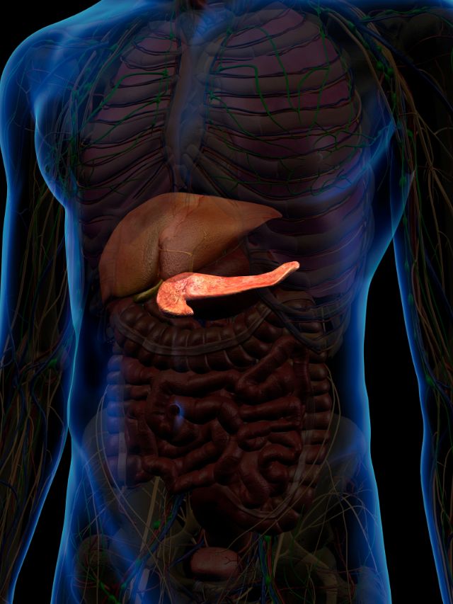 Read more about the article BEST YOGA POSES FOR BOOST YOUR METABOLISM