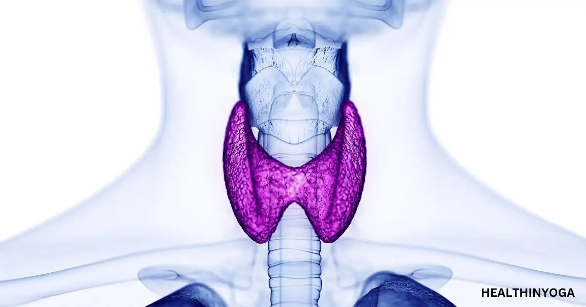 Read more about the article 14 Best Yoga Poses For Thyroid Health