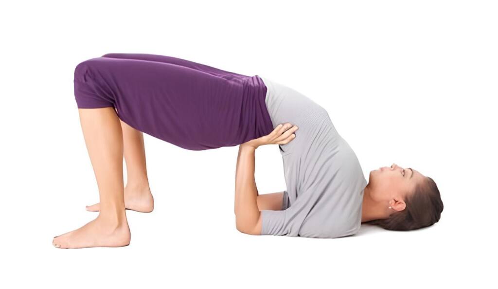 Bridge Pose Variation: Hand Support Pose 2 BRIDGE-POSE-HAND-SUPPORT