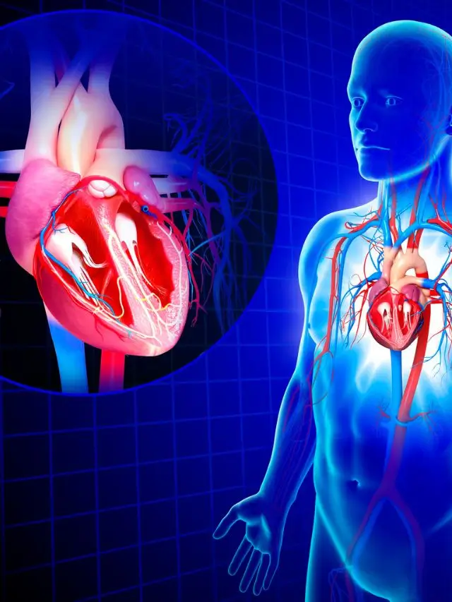 Read more about the article GENTLE POSES AFTER HEART VALVE SURGERY